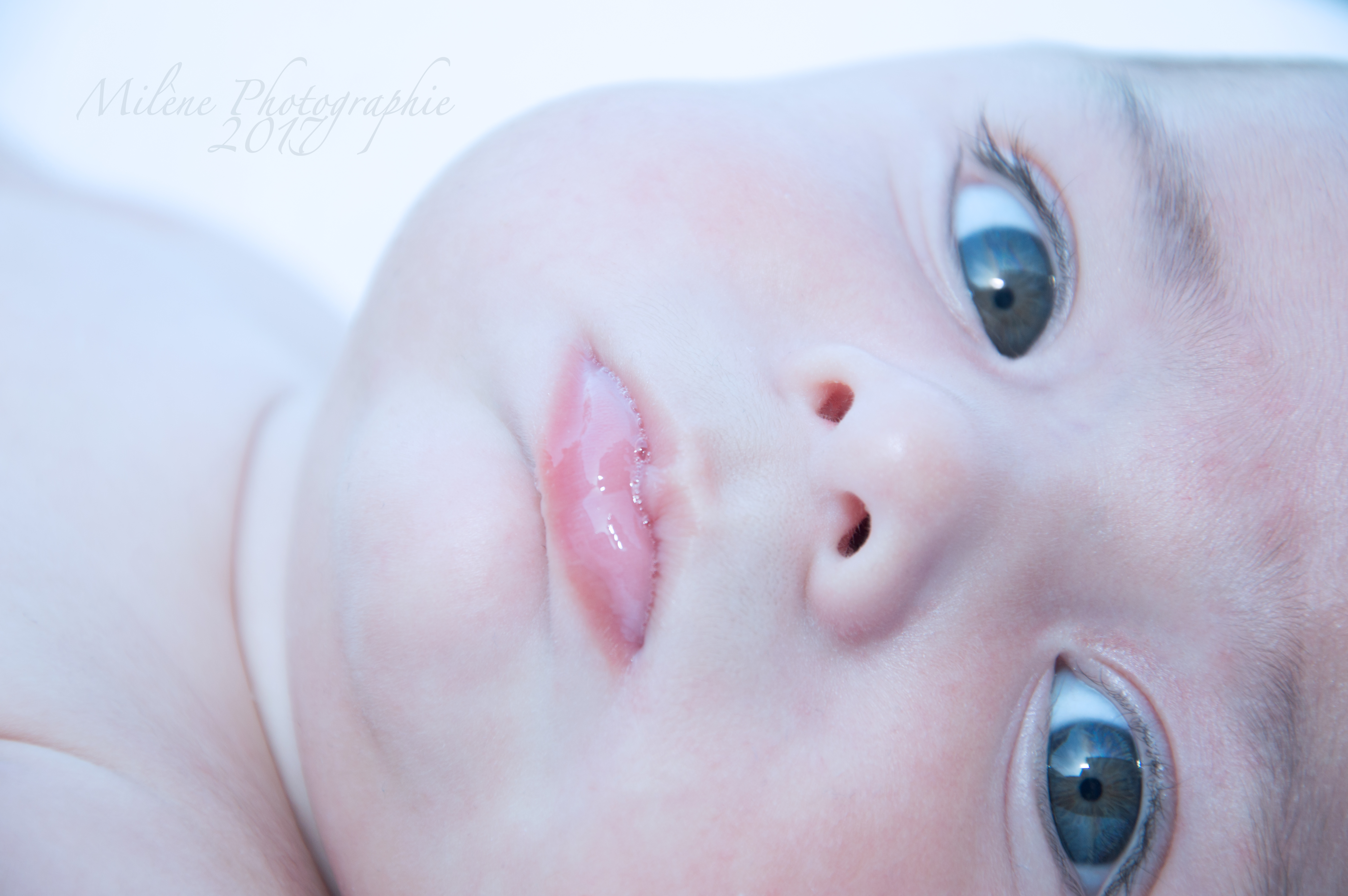 Dsc 0159rst