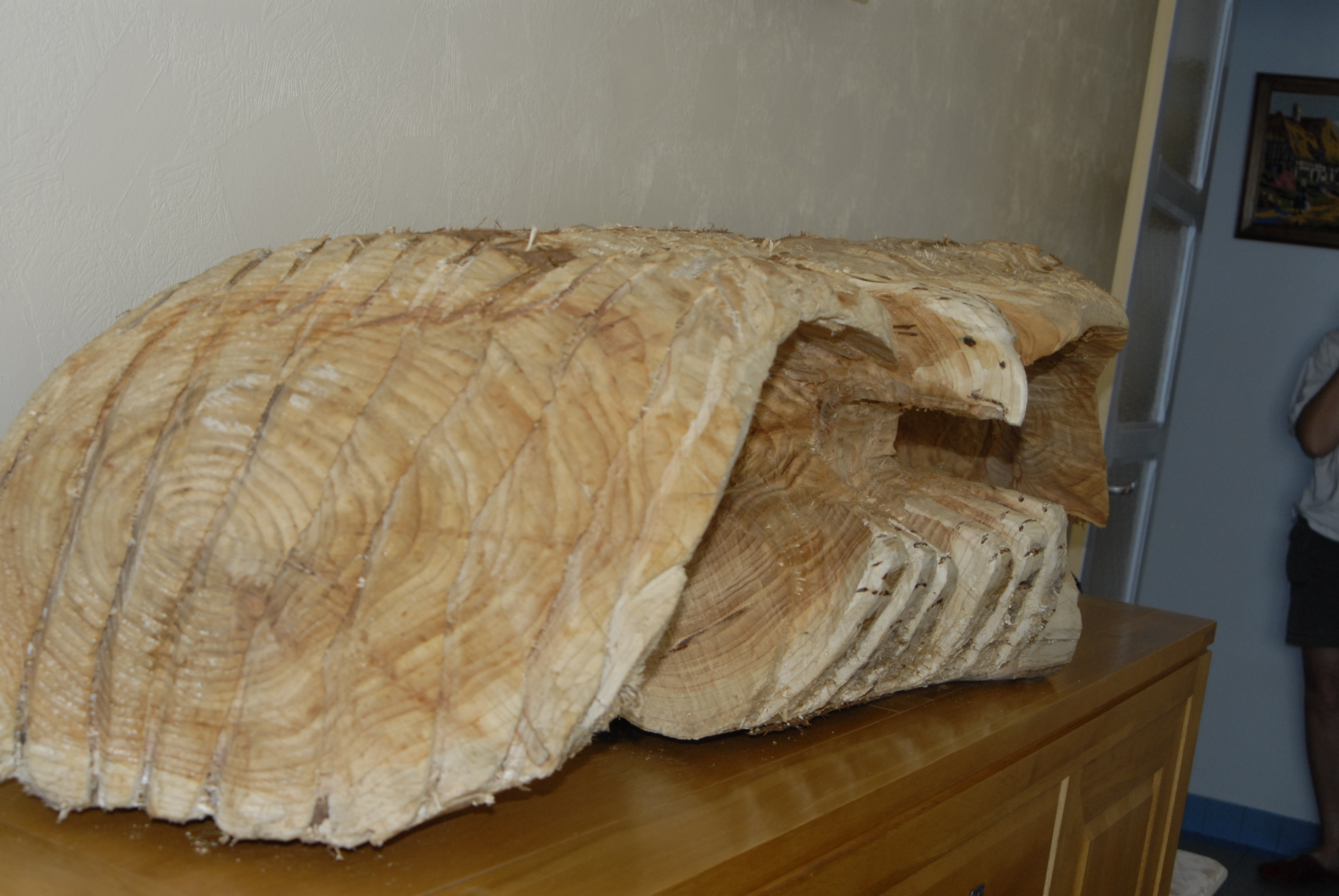 Aigle3