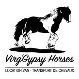 Logo VirgGypsy