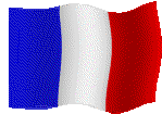 Animated france flag image 0031