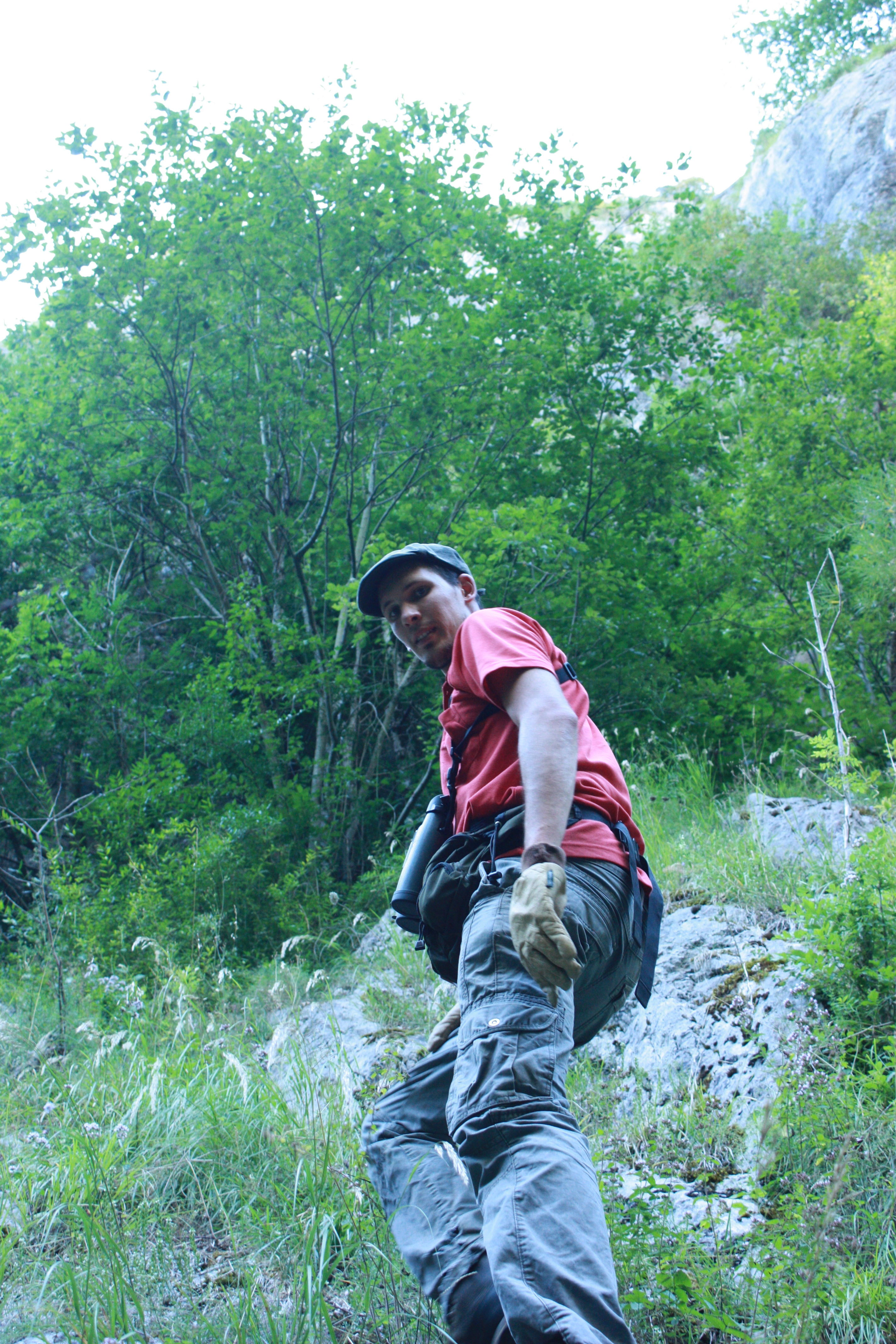 Expertises naturalistes