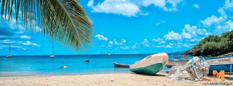 Martinique anse d arlets chauffeur