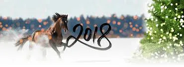 L'APGO VOUS PRÉSENTE SES MEILLEURS VOEUX POUR L'ANNÉE 2018