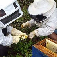 Apprenti apiculteur