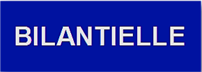Logo bilantielle 2013