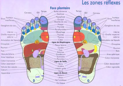 Zones reflexes pieds2