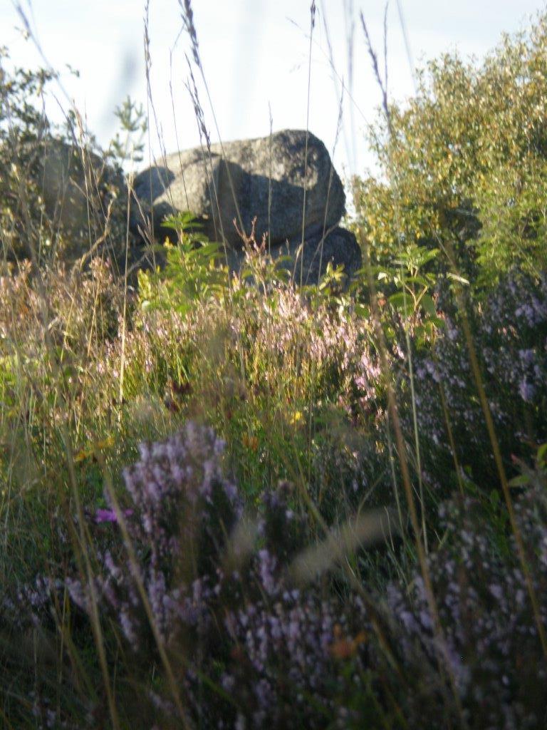 2011 08 site de l ours 021