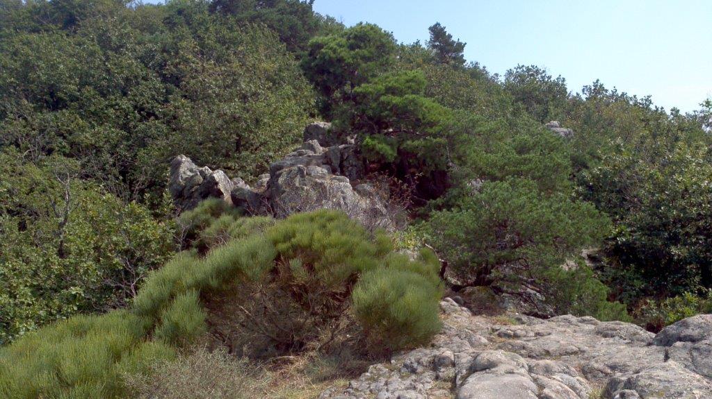 2012 08 23 14 34 56 564
