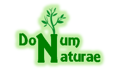 Donum Naturae Logo4