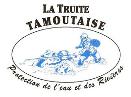 Logo truite tamoutaise 1 