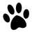 Nouveau 12 stickers pattes de chien chat noires qualite pro garantie exterieur magnifiques 936393335 L