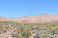 Désert des Mojaves dans les environs de Newberry Springs et de la Route 66, USA