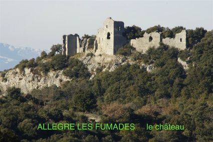 Chateau d allegre 11032018