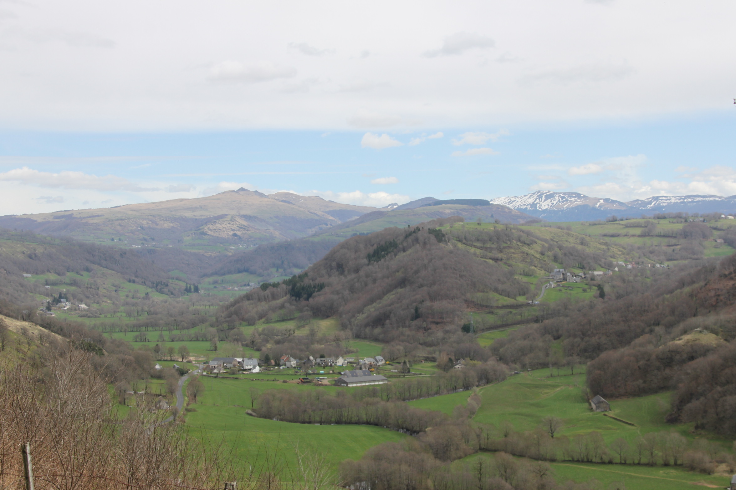 Img 7767