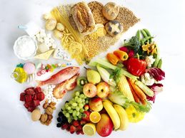 1804w macro diet nutrients