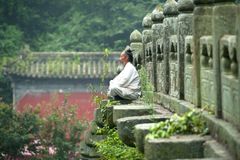 Taijiquan of wudang meditation