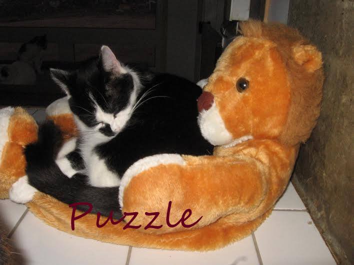 Puzzle