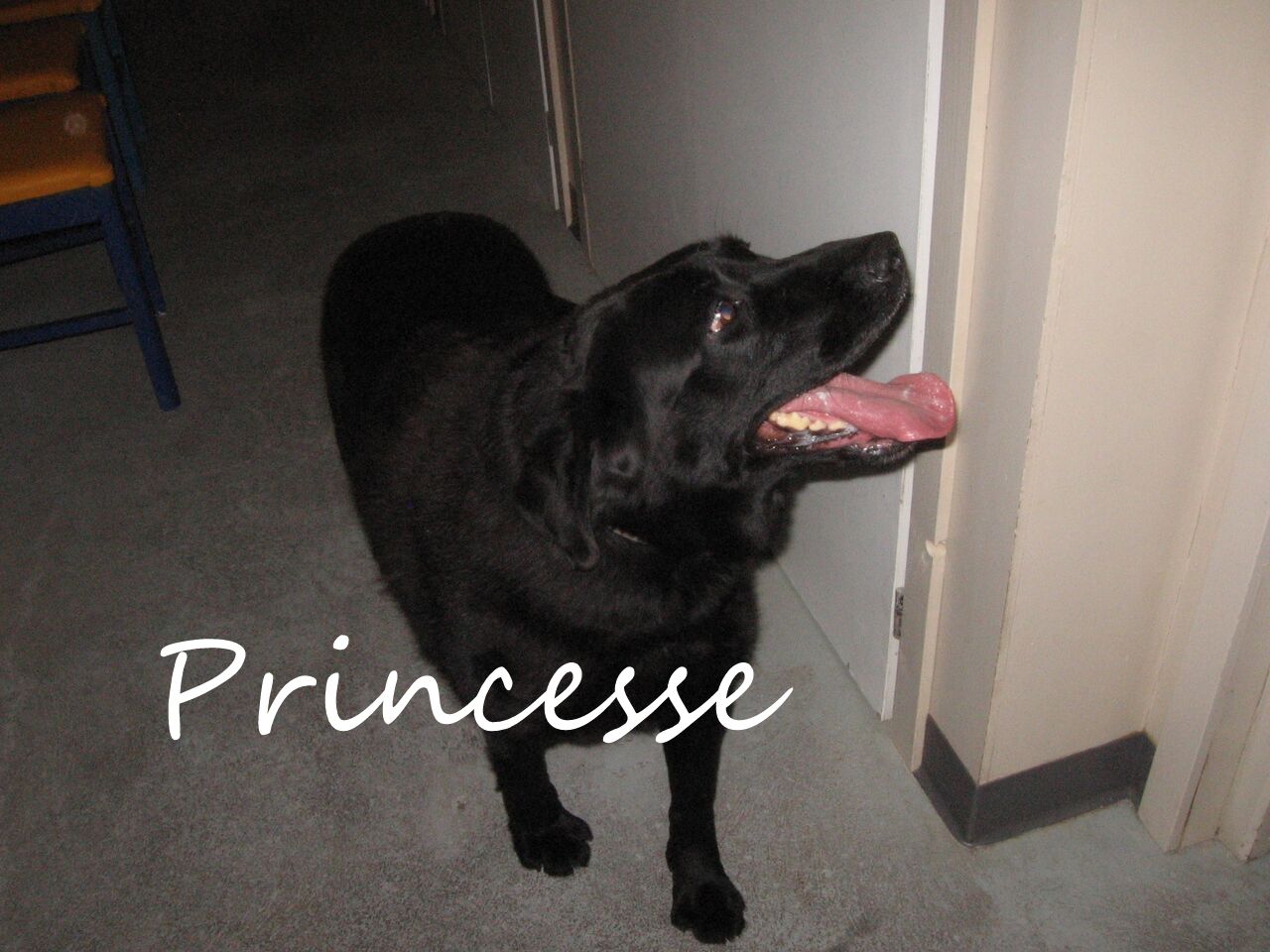 Princesse