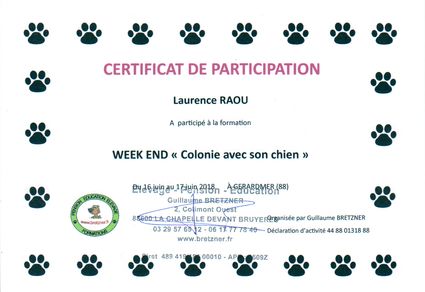 Certificat participation week end colonie bretzner
