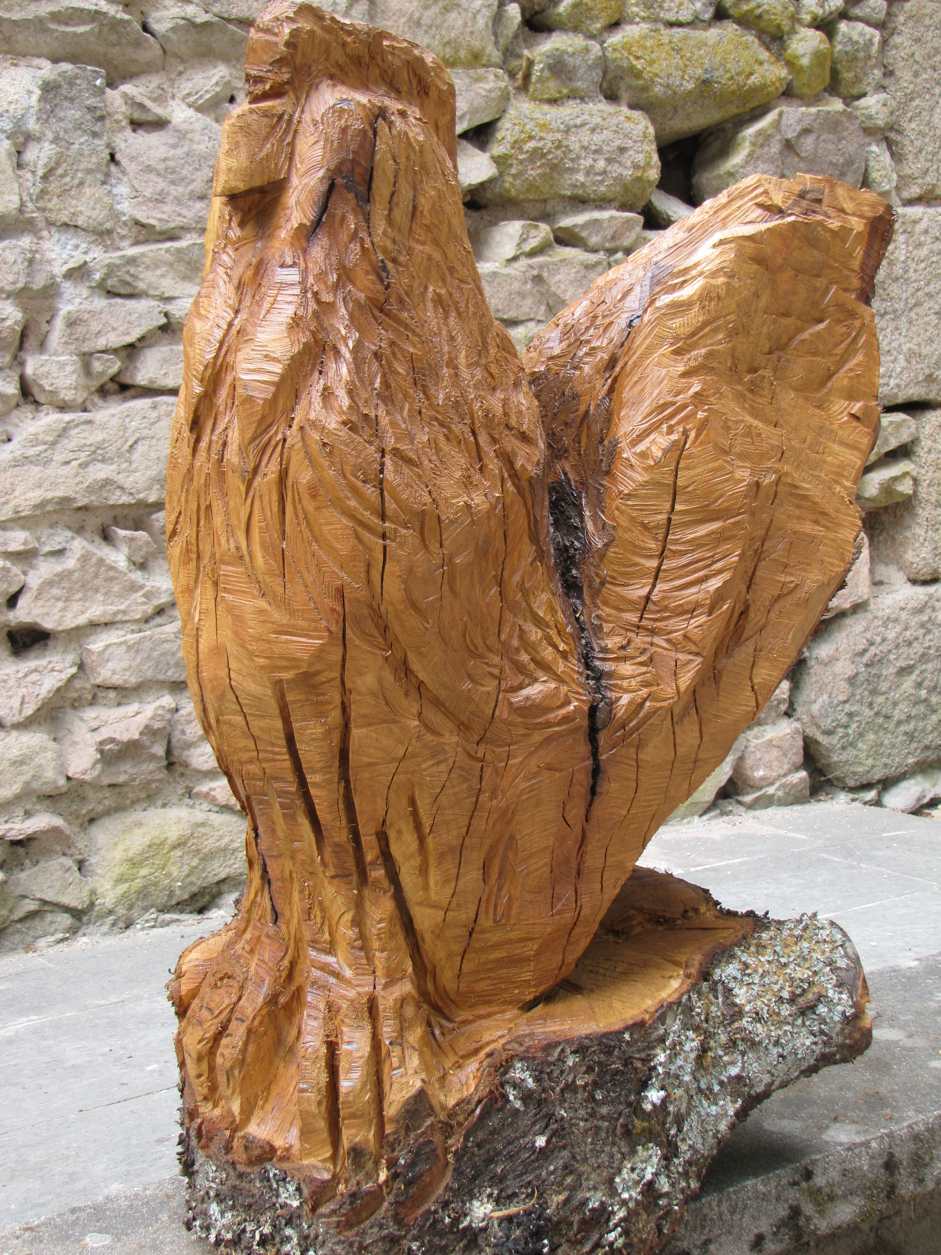 Coq