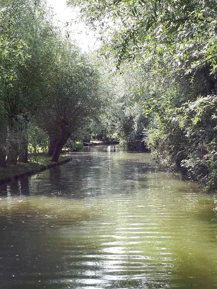 2018 08 04 sortie dans le marais avec la famille vast 164258 7139 2 1