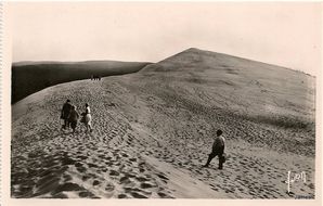 Dune 1931