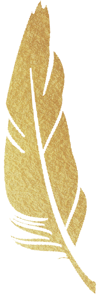 Gold feather png 8