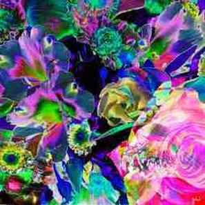 Babadart fleurs19c bd