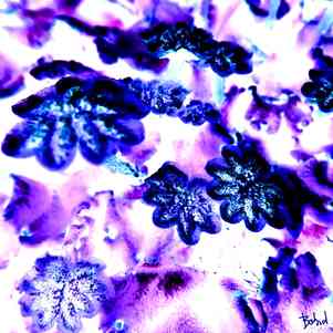 Babadart fleurs5