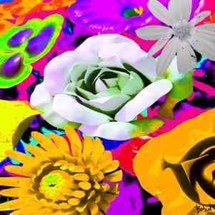 Babadart fleurs1