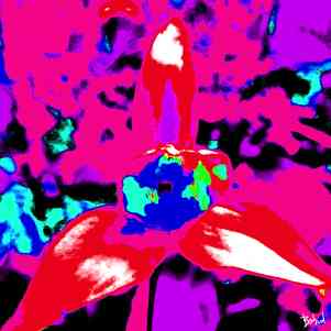 Babadart fleurs2