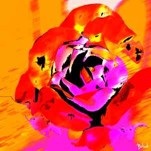 Babadart fleurs7