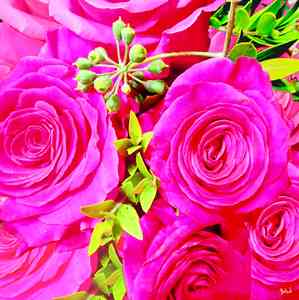 Babadart fleurs18