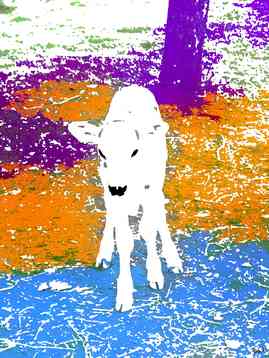 Babad art veau