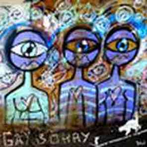 A13 gay6