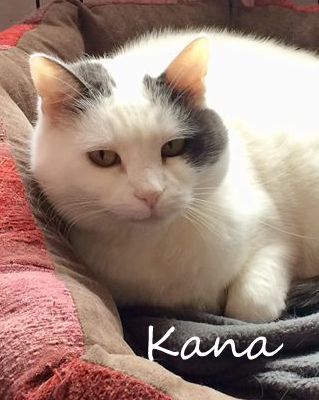 Kana