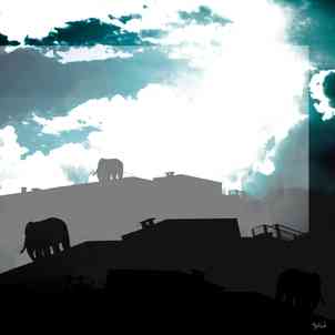 Babad a14 elephant bd