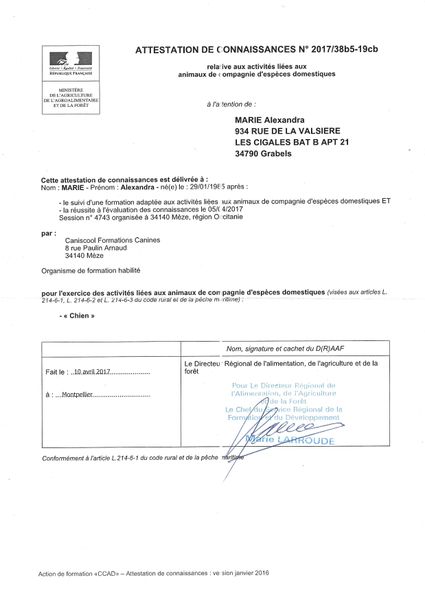 Certificat de capacité (CCAD) obtenu par Alexandra MARIE
