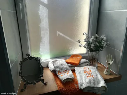 Salle de bain ti trianon 1