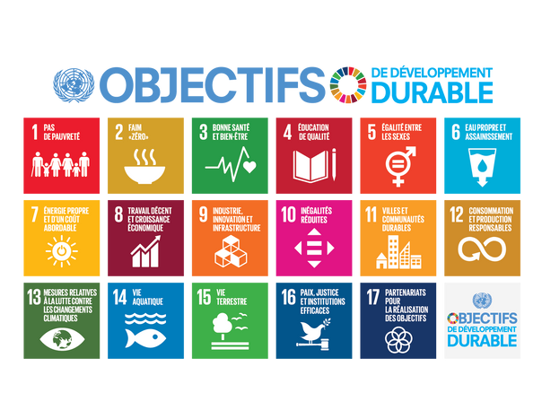 F 2018 SDG Poster with UN emblem