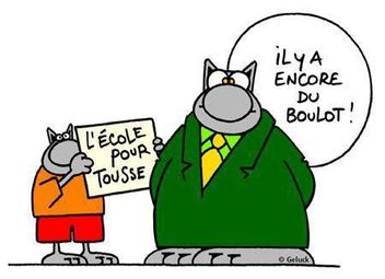 Chat ecole