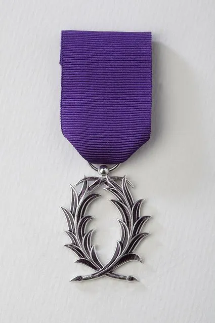 info Illettrisme : Illettrisme et Palmes académiques-avril 2019