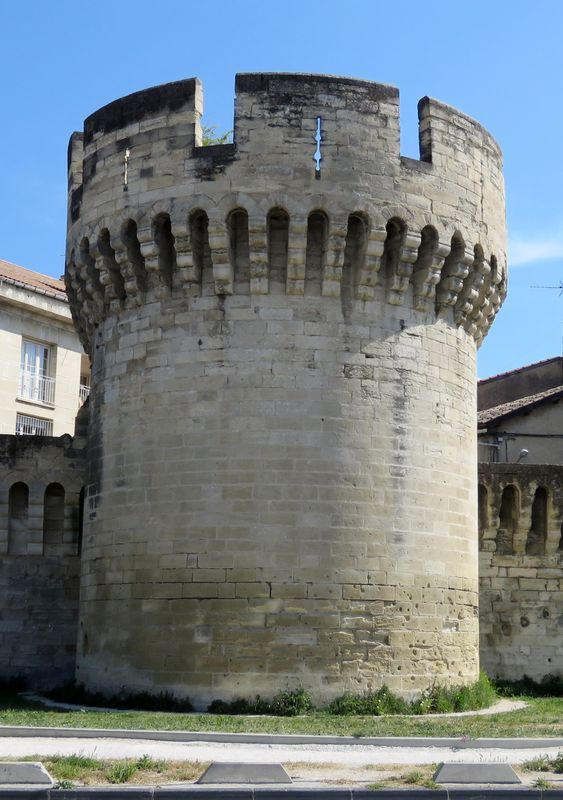 Avignon 4 
