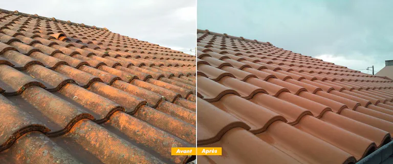 Nettoyage toiture2