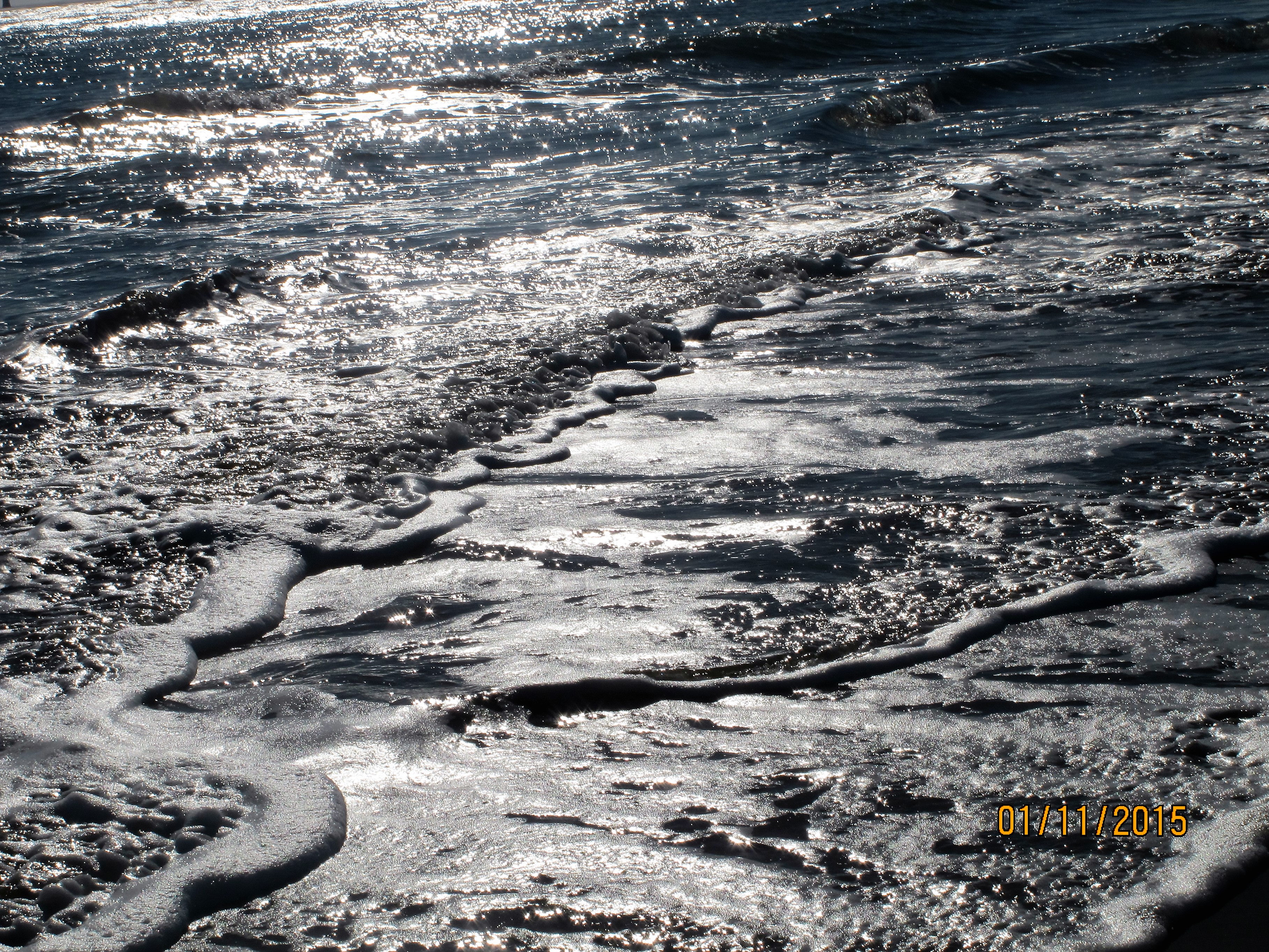 The wave in the ocean