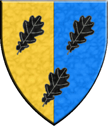 Blason heraldique design