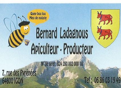 Bernard ladagnous