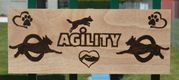 Agility bis