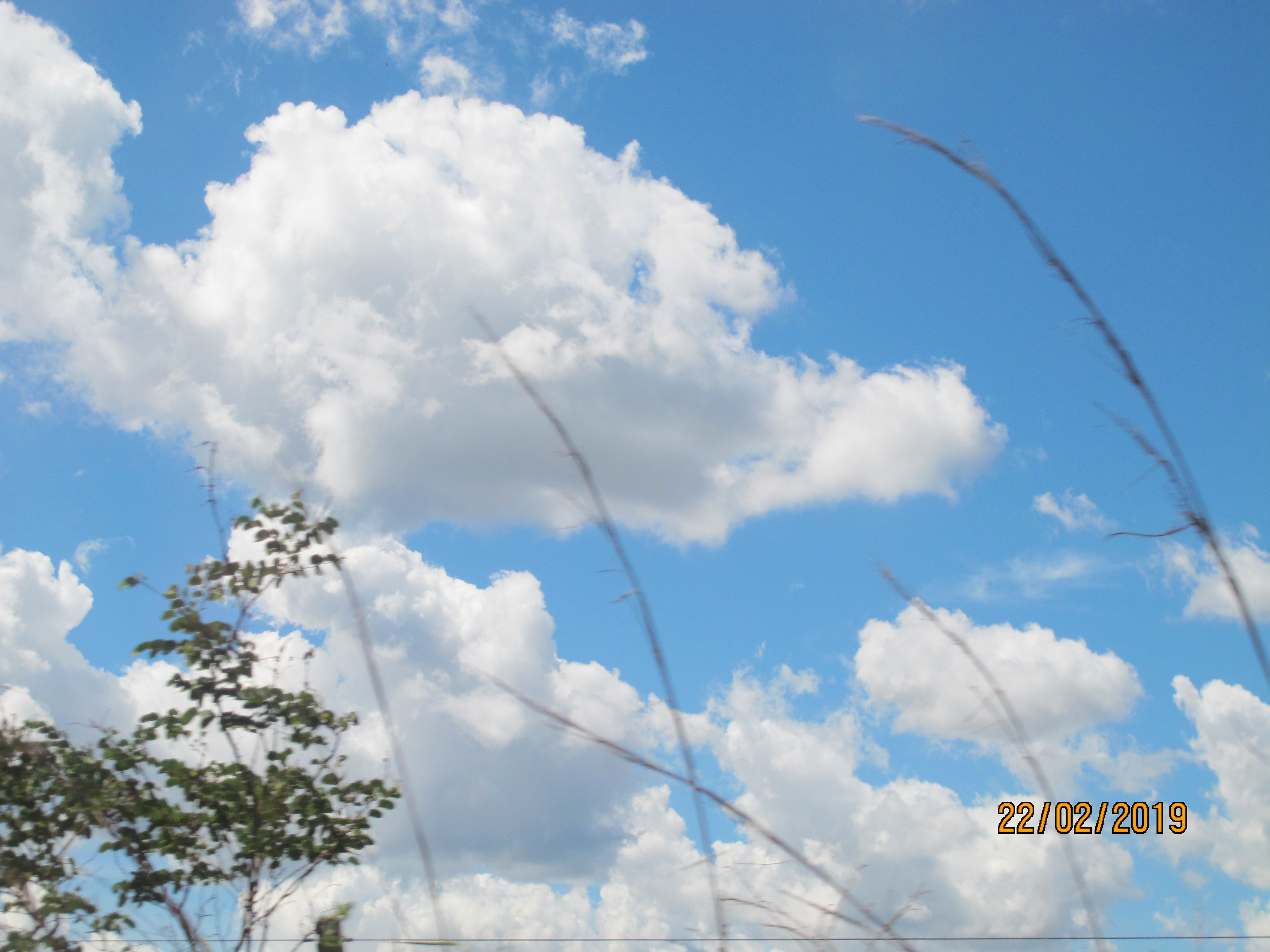 Img 4876