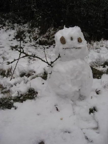 LA BRESSE DANS LES VOSGES